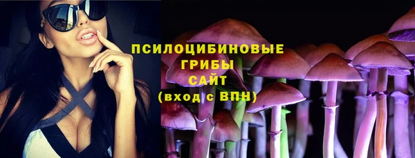 прущая мука Абаза