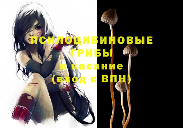 прущая мука Абаза