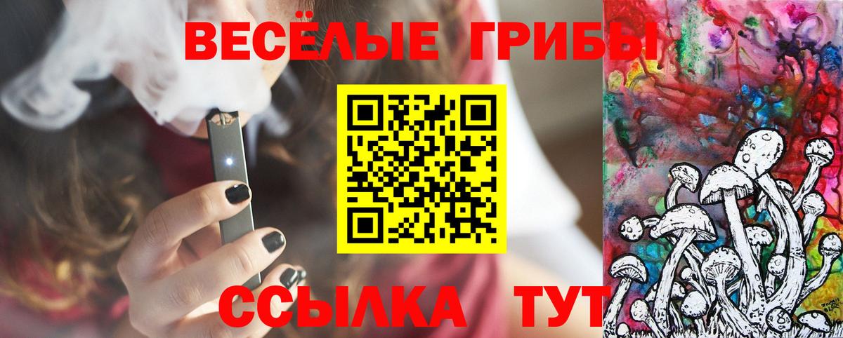 Ангарск  Галлюциногенные грибы GOLDEN TEACHER  Вход с VPN 