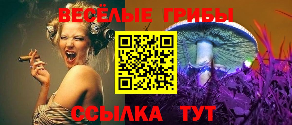 Галлюциногенные грибы Psilocybine cubensis Ангарск